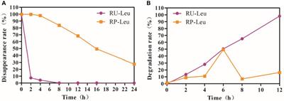 Comparison of the effects of rumen-protected and unprotected L-leucine on fermentation parameters, bacterial composition, and amino acids metabolism in in vitro rumen batch cultures